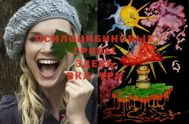 Псилоцибиновые грибы Psilocybe  продажа наркотиков  Железноводск 